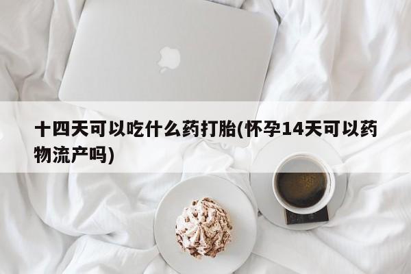 私人卖流产药的联系方式十四天可以吃什么药打胎(怀孕14天可以药物流产吗)